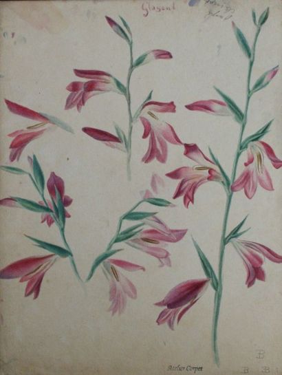 null Lot de 10 aquarelles et divers sur le thême des fleurs Charles-Etienne Corpet...