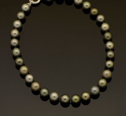 null Collier de perles de Tahiti en choker (diamètre 13 à 14 mm), le fermoir bouée...