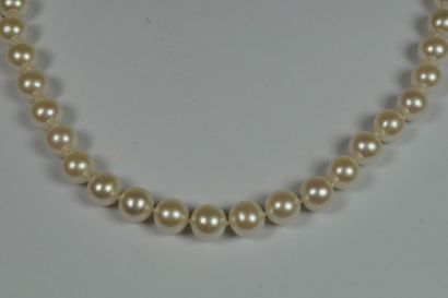 null Collier de perles de culture de Chine en choker, diamètre  9,5 mm à 10 mm, fermoir...