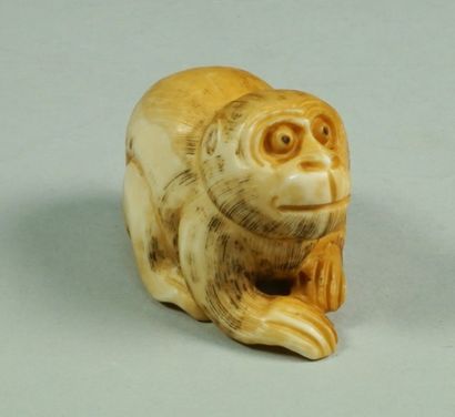 null Nestuké en ivoire représentant un singe assis. Japon 1900-1930. 4.6 cm ( très...