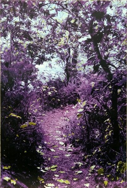 Martine ABALLEA Warm Gardens 1, 2003 Affiche sérigraphiée signée au pastel 100 x...