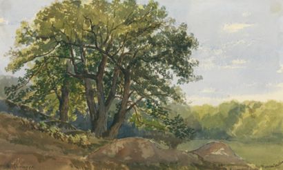 Jean-Henri CHOUPPE 1817-1894 Forêt de Fontainebleau Aquarelle Signée en bas à gauche...