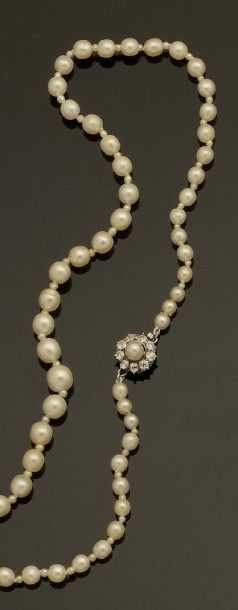 null Collier de perles probablement fines en chute diamètre 4,4 mm à 7,53 mm alternées...