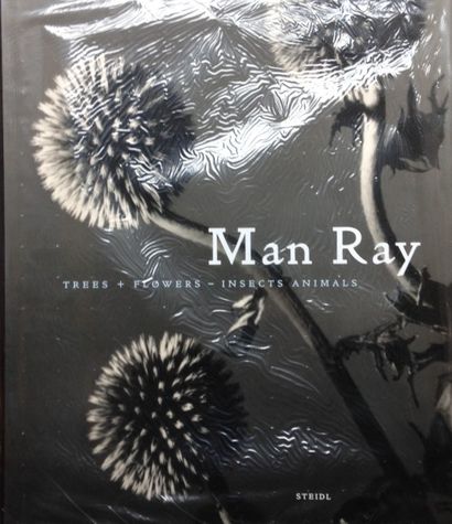 Man Ray Trees+Flowers Insects Animals. Enfermés dans des coffres de banque pendant...