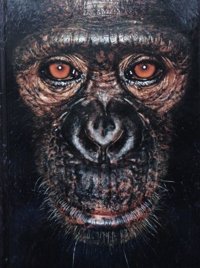 Mollison James James & Other Apes. Chris Boot, 2005. Texte en anglais. Neuf.