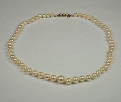 null Petit collier de perles de culture en chute, fermoir en or gris (750/oo) serti...