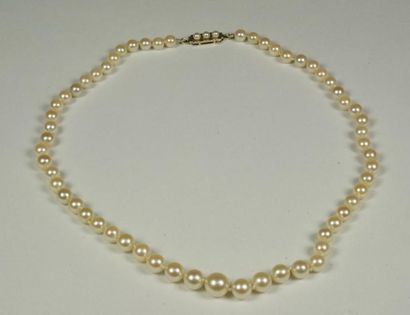 null Petit collier de perles de culture en chute, fermoir en or gris (750/oo) serti...