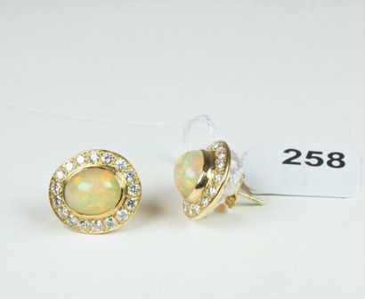 null Paire de boutons d'oreilles en or jaune 18K (750/oo) ornés de cabochons d'opale...