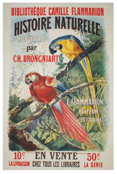 null BIBLIOTHÈQUE CAMILLE FLAMMARION HISTOIRE NATURELLE POPULAIRE par Charles BRONGNIART.
Affiche...