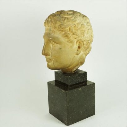 null Tête de statue en marbre représentant un jeune homme coiffé de courtes mèches...
