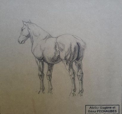 Eugène PECHAUBES (1890-1967) « Étude de cheval », dessin à la mine de plomb, cachet...