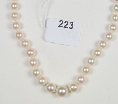 null Collier de perles de culture en chute (diamètres 4,05 à 8,10 mm), le fermoir...