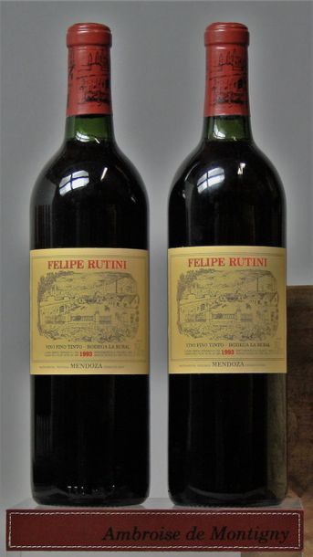 2 bouteilles Argentine : VINO FINO Mendoza...