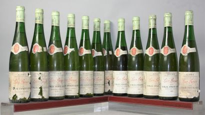 null 15 bouteilles ALSACE - TOKAY PINOT GRIS VENDANGES TARDIVES - LÉON BEYER 1983...