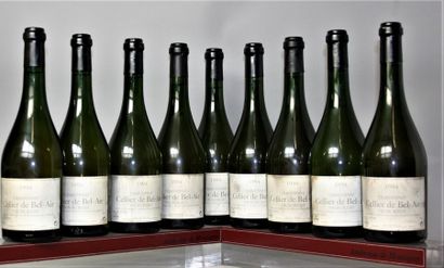 null LOT DE 11 bouteilles BUGEY - Domaine de CELLIER DE BEL AIR 9 bouteilles de 1994...