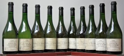 null LOT de 10 bouteilles BUGEY - Domaine de CELLIER DE BEL AIR 6 bouteilles de 1995...
