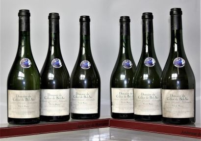null 6 bouteilles BUGEY - Domaine de CELLIER DE BEL AIR-cuvée spéciale Milvendre...