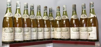 null 12 bouteilles CHABLIS 1er cru "Vaillons" - Robert VOCORET 1979 Etiquettes tachées...