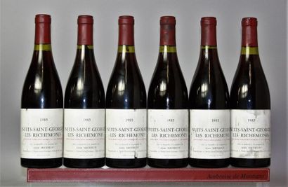 null 6 bouteilles NUITS St. GEORGES 1er cru "La Richemone" - Alain MICHELOT 1985...