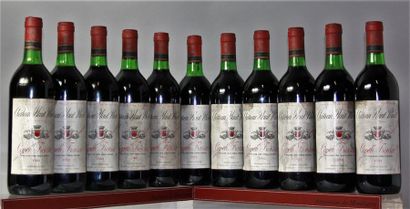 12 bouteilles CHÂTEAU HAUT PANET - Fronsac...