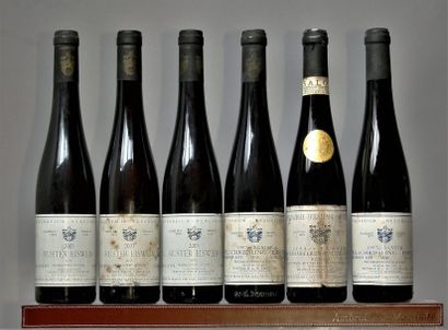 LOT DE 6 BOUTEILLES VINS AUTRICHIENS EISWEIN et SGN : Weingutshof LANDAUER- 3 bouteilles...