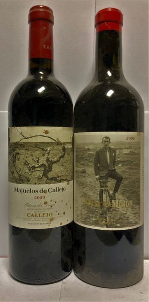 VINS d'ESPAGNE - RIBERA DEL DUER0 4 bouteilles FELIX CALLEJO 2006 et 2 CALLEJO "Majuellos"...