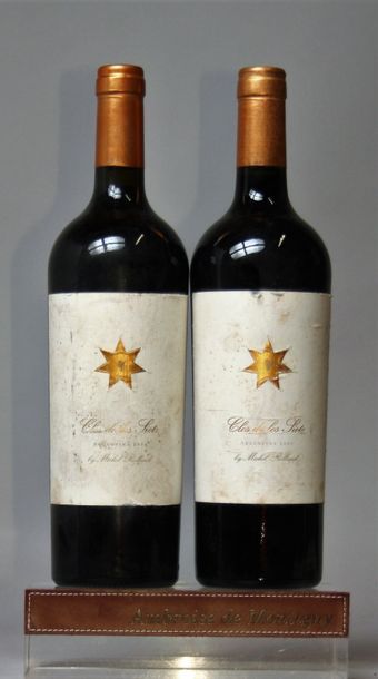 VINS ETRANGERS : ARGENTINE : 2 bouteilles CLOS DE LOS SIETE - M. ROLLAND 1 bouteille...