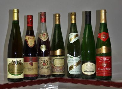 VINS D'ALSACE, SUDOUEST et THURINGEN : 1 TOKAY PINOT-GRIS - Sélection de grains nobles...