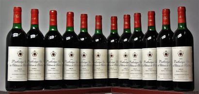 "CHÂTEAU DE SALETTES "" L'Authentique"" - Gaillac 1992 36 bouteilles - Etiquette...