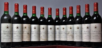 "CHÂTEAU DE SALETTES "" L'Authentique"" - Gaillac 1993 36 bouteilles - Etiquette...