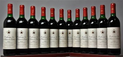 "CHÂTEAU DE SALETTES "" L'Authentique"" - Gaillac 1993 36 bouteilles - Etiquette...