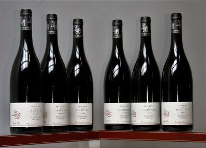 BOURGUEIL DOMAINE DE LA BUTTE - JACKY BLOT 6 bouteilles de "Perriéres" 2010 et 5...