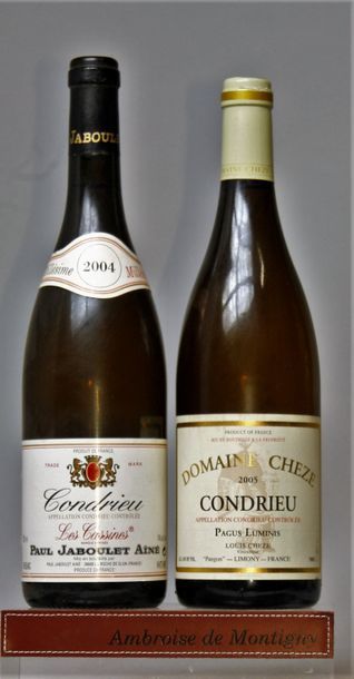 CONDRIEU MILLESIME 2004 et 2005 : 1 bouteille de "Pagus Luminis" - Domaine CHEZE...