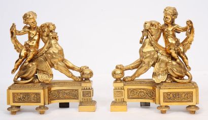 null PAIRE DE CHENETS "ANGELOT A LA LIONNE" XIXè

En bronze doré et ciselé représentant...