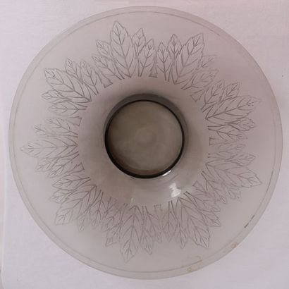 null COUPE EN VERRE "AUX FEUILLES" 1960

En verre gravé à motifs de feuilles.

Epoque...