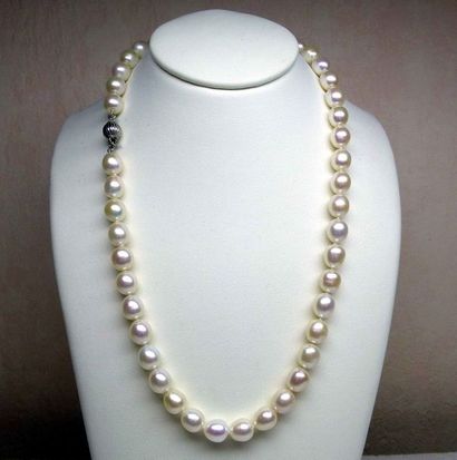 null Très joli et important collier de perles de culture naturelles de forme olive...