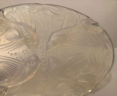 null OVAL "FISH" PLATE FROM VERLYS

In pressed moulded glass, signed "VERLYS FRANCE".

20th...