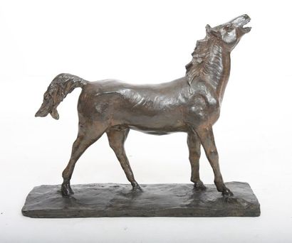 null BRONZE "CHEVAL HENISSANT" DE PATRICE CHOBRIAT (Né en 1962)

Bronze patiné, reposant...