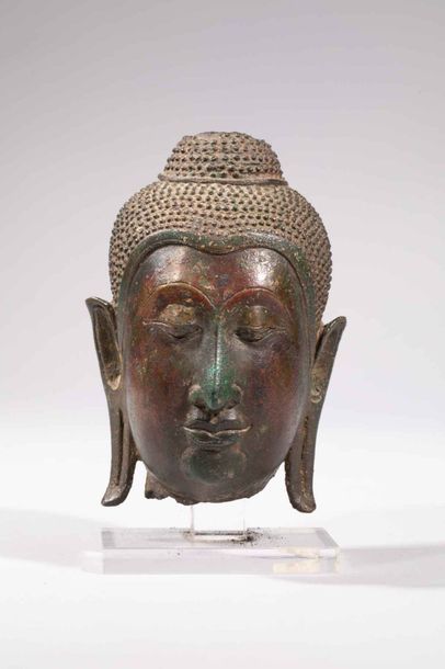 null Head of Buddha with a serene expression, eyes half closed, advocating looking...