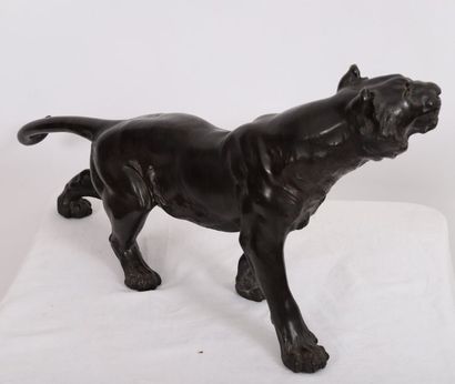 null ASIAN BRONZE "TIGER"

In patinated bronze, with sulphur eyes. Wearing a pill.

19th-20th...