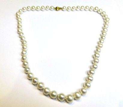 null Très beau collier en perles de culture diamètre 7- 7,5 mm, très beau lustre,...