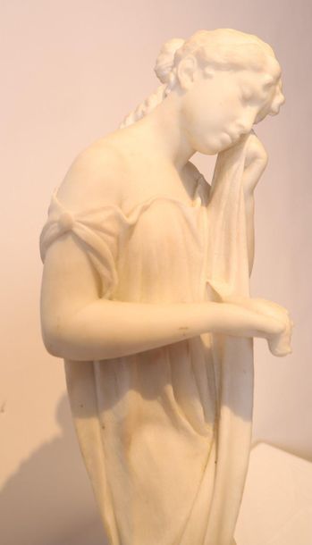 null MARBRE "JEUNE FILLE A L'OISEAU"

Statuaire en marbre blanc , représentant une...