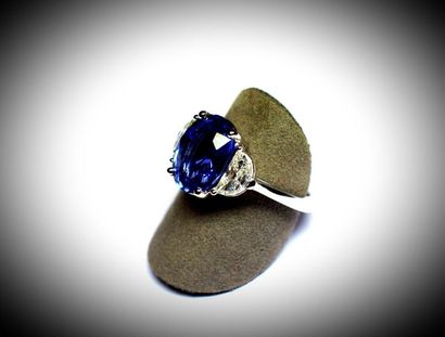 null White gold jewellery ring set with 4 claws of an exceptional oval sapphire NATUREL...