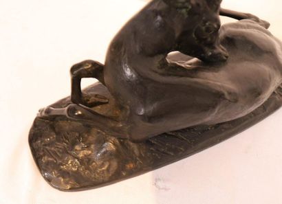 null BRONZE ANIMALIER "CERF COUCHE" DE Alfred BARYE (1839-1882)

En bronze patiné,...
