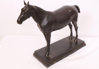 null BRONZE "GRAND CHEVAL A L'ARRET PORTANT LE CRIN COURT" DE Henri SPLIETH (1877-1929)

En...