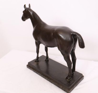 null BRONZE "GRAND CHEVAL A L'ARRET PORTANT LE CRIN COURT" DE Henri SPLIETH (1877-1929)

En...