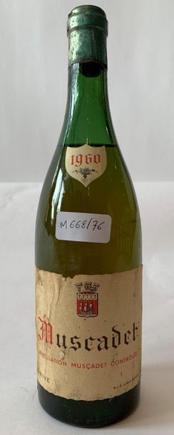 null 1 BOX MUSCADET - 1960 

Level: low shoulder