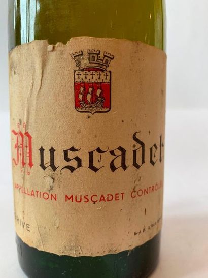 null 1 BOX MUSCADET - 1960 

Level: low shoulder