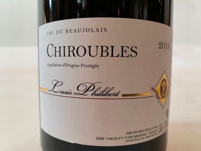 null MAGNUM "CHIROUBLES" BEAUJOLAIS - 2018

Niveau bas épaule