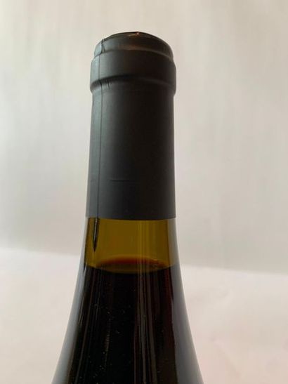 null MAGNUM "CHIROUBLES" BEAUJOLAIS - 2018

Niveau bas épaule